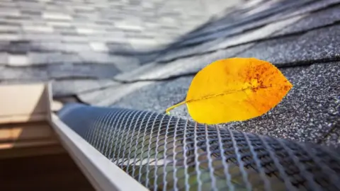 The Types of Leaf Guards (& Why They're Important)